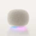 The Gemini-Powered Google Home Speaker Is Finally Here