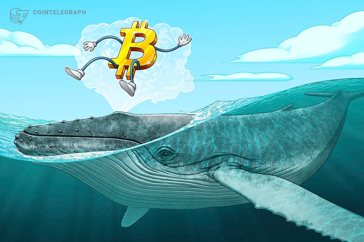 Bitcoin OG selling eases as dormant BTC movement hits 4-year low: Galaxy