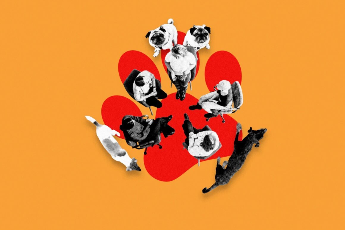 Welcome to Dogs Anonymous, the Online Support Group for People With Difficult Dogs