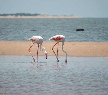 Mozambique Sets Its Sights on UK Travellers as Tourism Grows Ahead of 2027